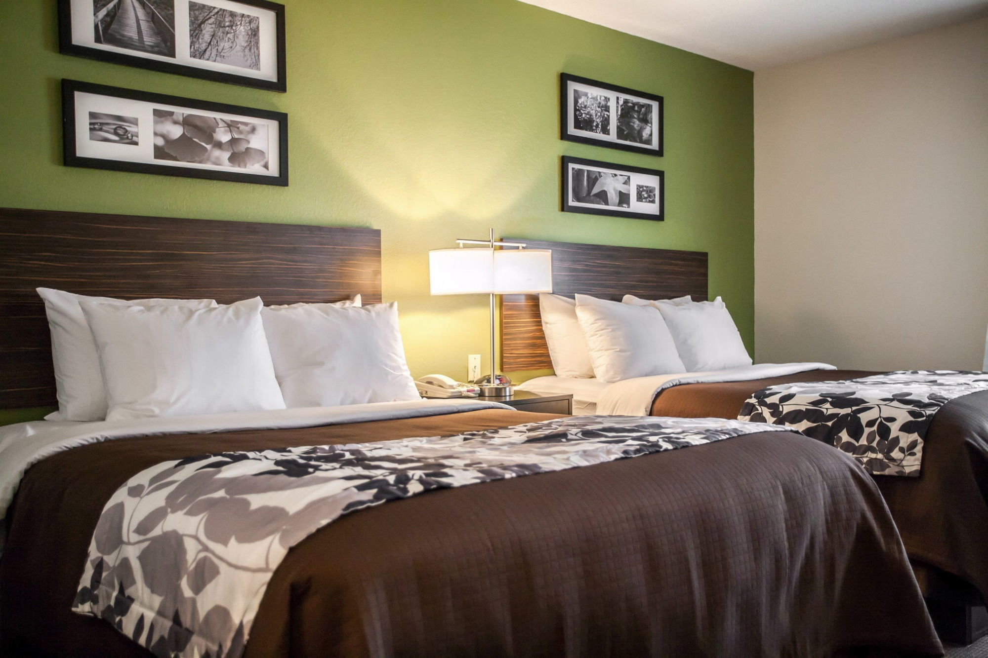 Sleep Inn & Suites Metairie Phòng bức ảnh